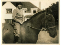 horse