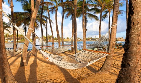 Beach Hotel image