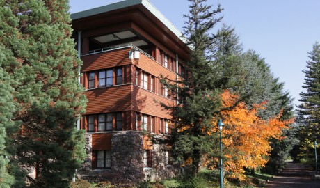 Disney's Sequoia Lodge image