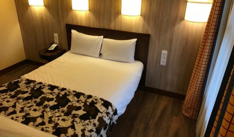 Disney's Hotel Cheyenne image