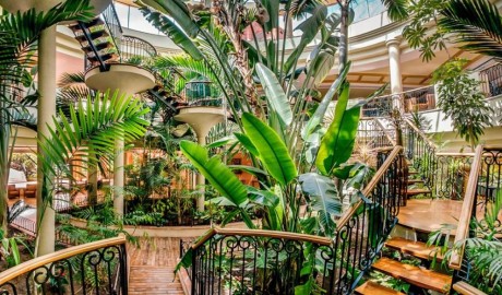 Accessible Luxury Spa hotel image