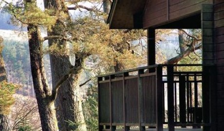 Accessible Holiday Lodges image
