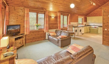 Accessible Holiday Lodges image