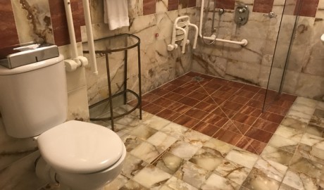 Accessible Luxury Hotel image
