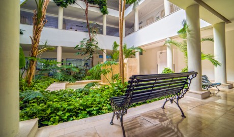 Wheelchair friendly beach hotel image
