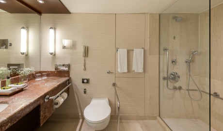 Luxury 5 star hotel image