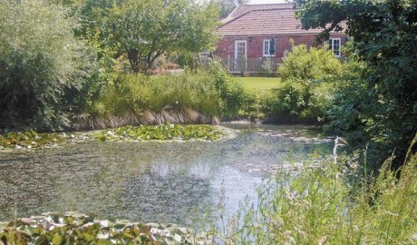 Single Storey Cottage image