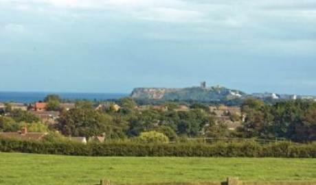 North Yorkshire Moors Cottage image