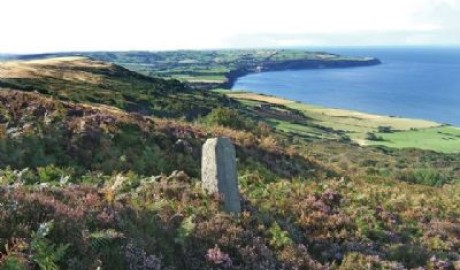 North Yorkshire Moors Cottage image