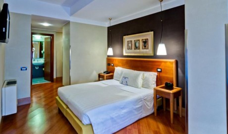 Accessible Hotel near Vatican City image