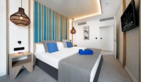 Accessible One bedroom Suite image