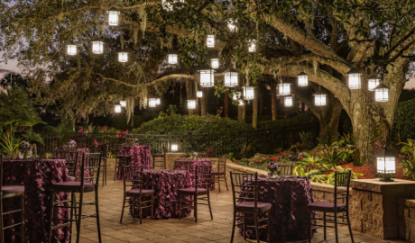 Accessible Luxury Spa hotel image