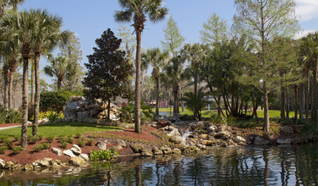 Accessible Luxury Spa hotel image