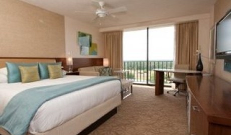 Accessible Luxury Spa hotel image