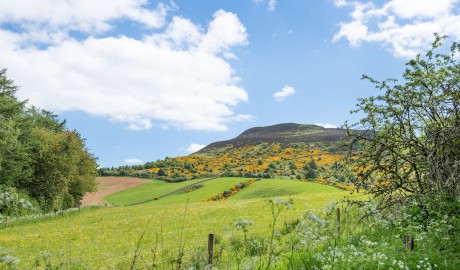 Countryside Cottage (Pet Friendly) image