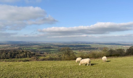 Countryside Cottage image