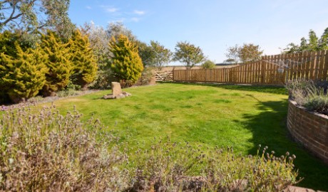 Countryside Cottage image