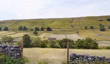 Countryside Cottage image