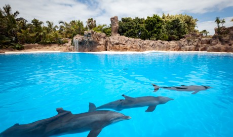 Celebrity Canary Island Cruises image