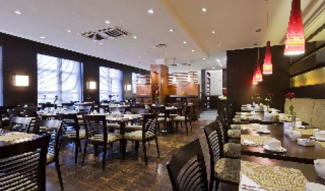 Accessible Airport Hotel image