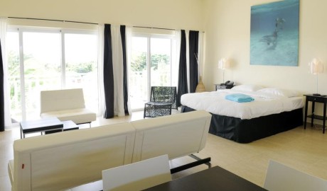 Accessible Dolphin Hotel image