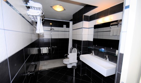 Accessible Dolphin Hotel image