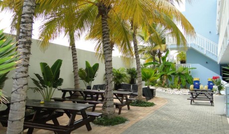 Accessible Dolphin Hotel image