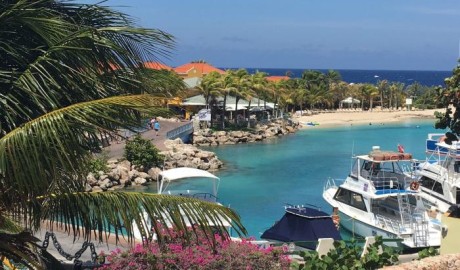 Accessible Dolphin Hotel image