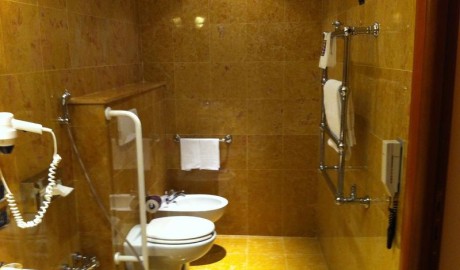 Accessible City Hotel image