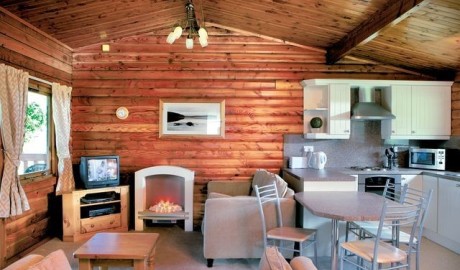 Accessible Log Cabin image