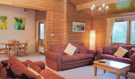 Accessible Log Cabin image
