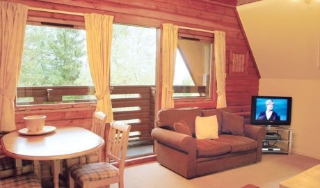 Accessible Log Cabin image