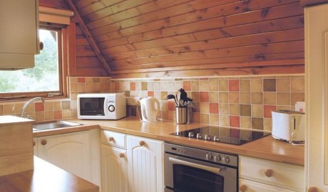 Accessible Log Cabin image