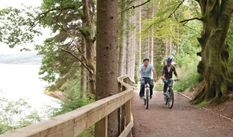 Accessible Log Cabin image