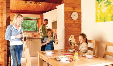 Accessible Log Cabin image