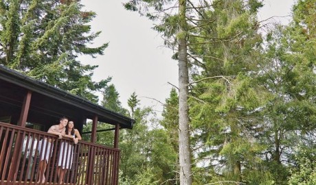 Accessible Log Cabin image