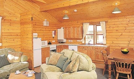 Accessible Log Cabin image