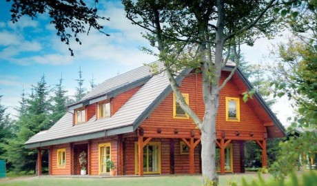 Accessible Log Cabin image