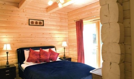 Accessible Log Cabin image