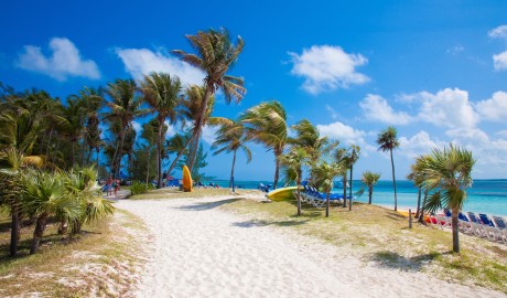 Royal Caribbean Cruises in the Bahamas image