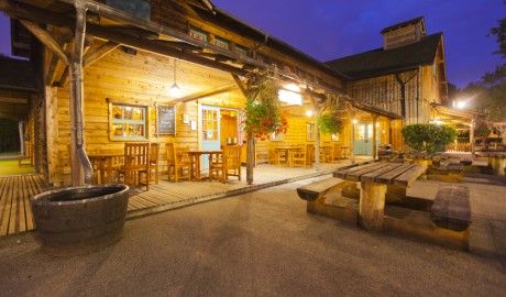 Disney’s Davy Crockett Ranch - Self-drive (no shuttle) image