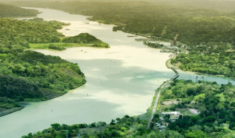P&O Panama Canal Cruises image