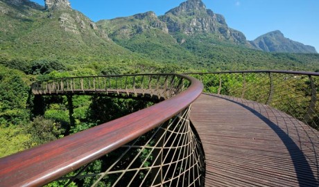 Cape + Garden Route, South Africa (Circular) image