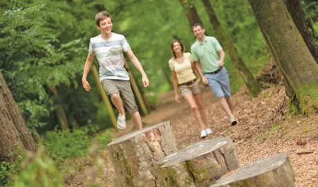 Accessible Chalet image