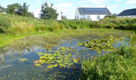 Accessible holiday cottage image
