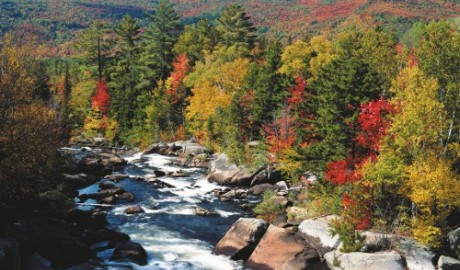 NCL Canada & New England Cruises image