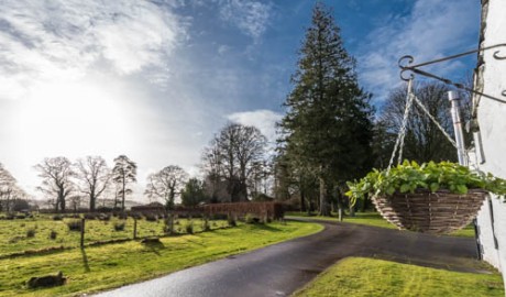 Countryside Cottage image