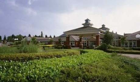Accessible City Hotel image