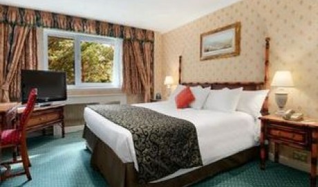 Accessible City Hotel image