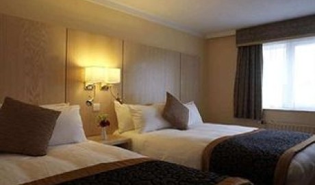Accessible City Hotel image